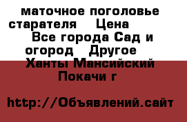 маточное поголовье старателя  › Цена ­ 3 700 - Все города Сад и огород » Другое   . Ханты-Мансийский,Покачи г.